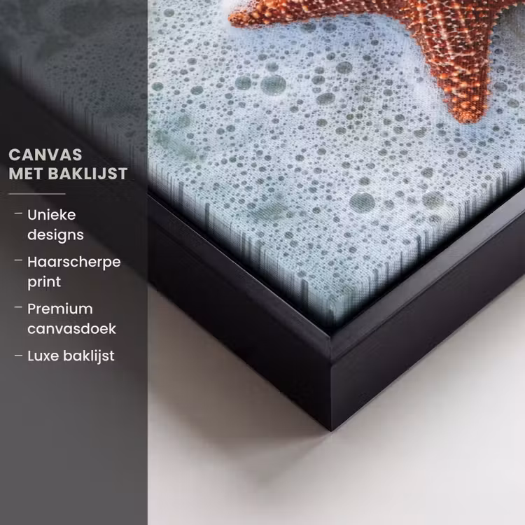 Canvas met lijst - Zeester - Strand - Zee — 5