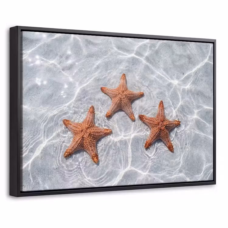 Canvas met lijst - Zeesterren - Water - Helder — 1