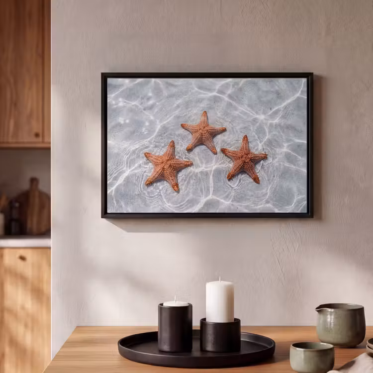 Canvas met lijst - Zeesterren - Water - Helder — 2