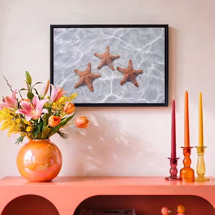 Canvas met lijst - Zeesterren - Water - Helder — 4