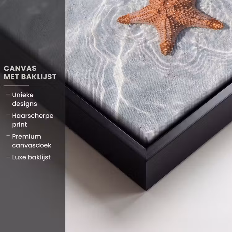 Canvas met lijst - Zeesterren - Water - Helder — 5