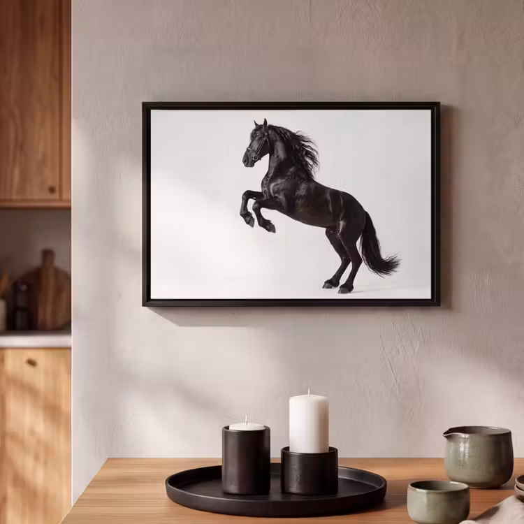 Canvas met lijst - Zwart - Paard - Portret — 2