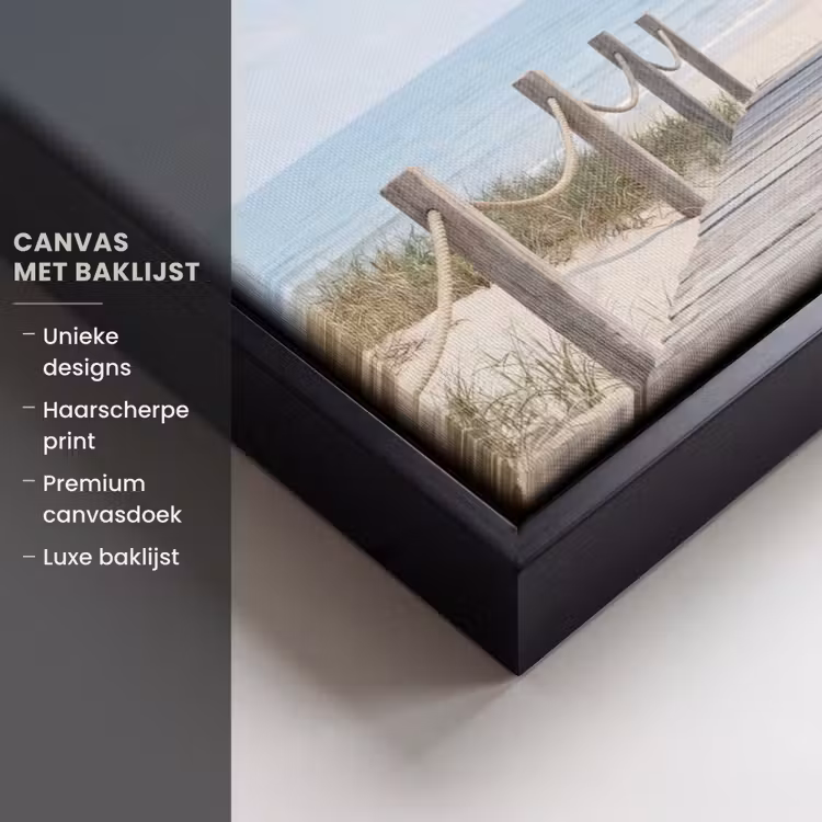 Canvas met lijst - Palmbomen - Pad - Horizon — 5