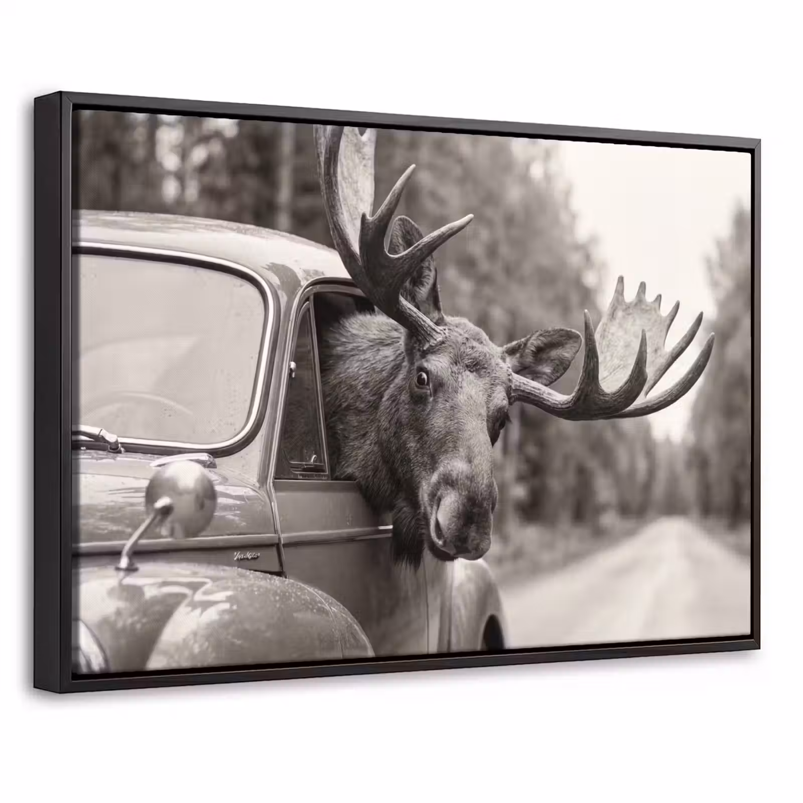 Canvas met lijst - Eland - Auto - Gewei - Zwart - Wit — 1