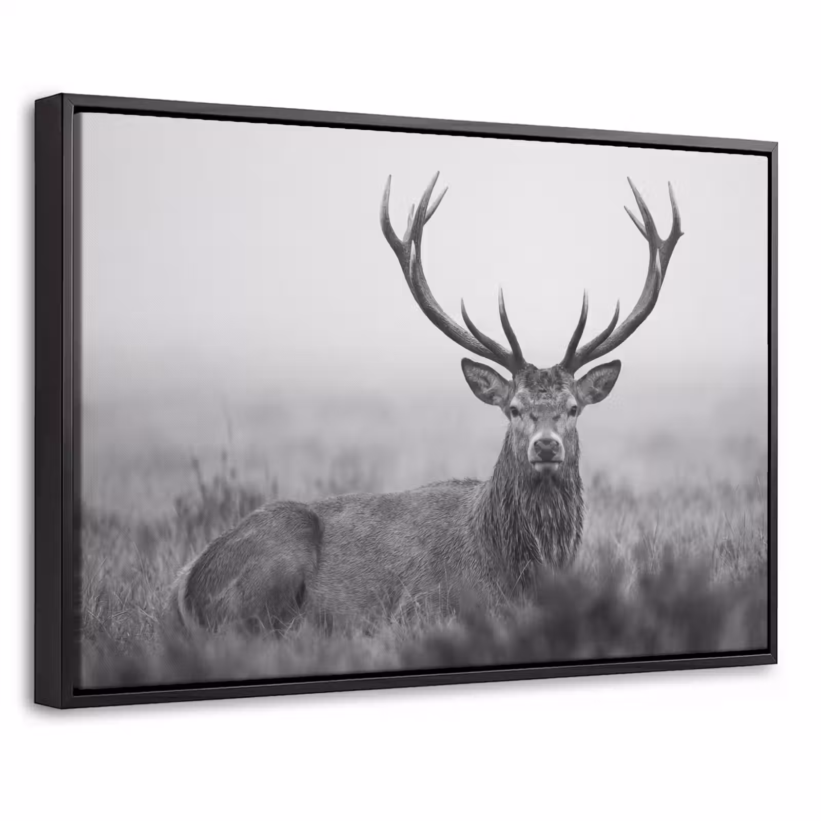 Canvas met lijst - Hert - Mistig - Zwart - Wit — 1
