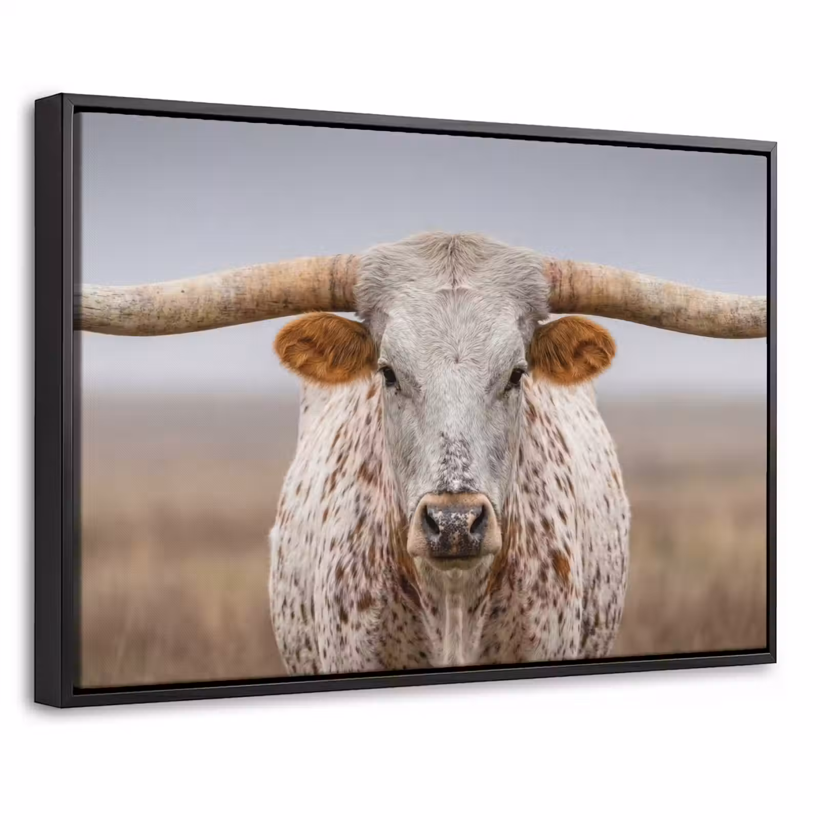 Canvas met lijst - Longhorn - Grasveld - Dier — 1