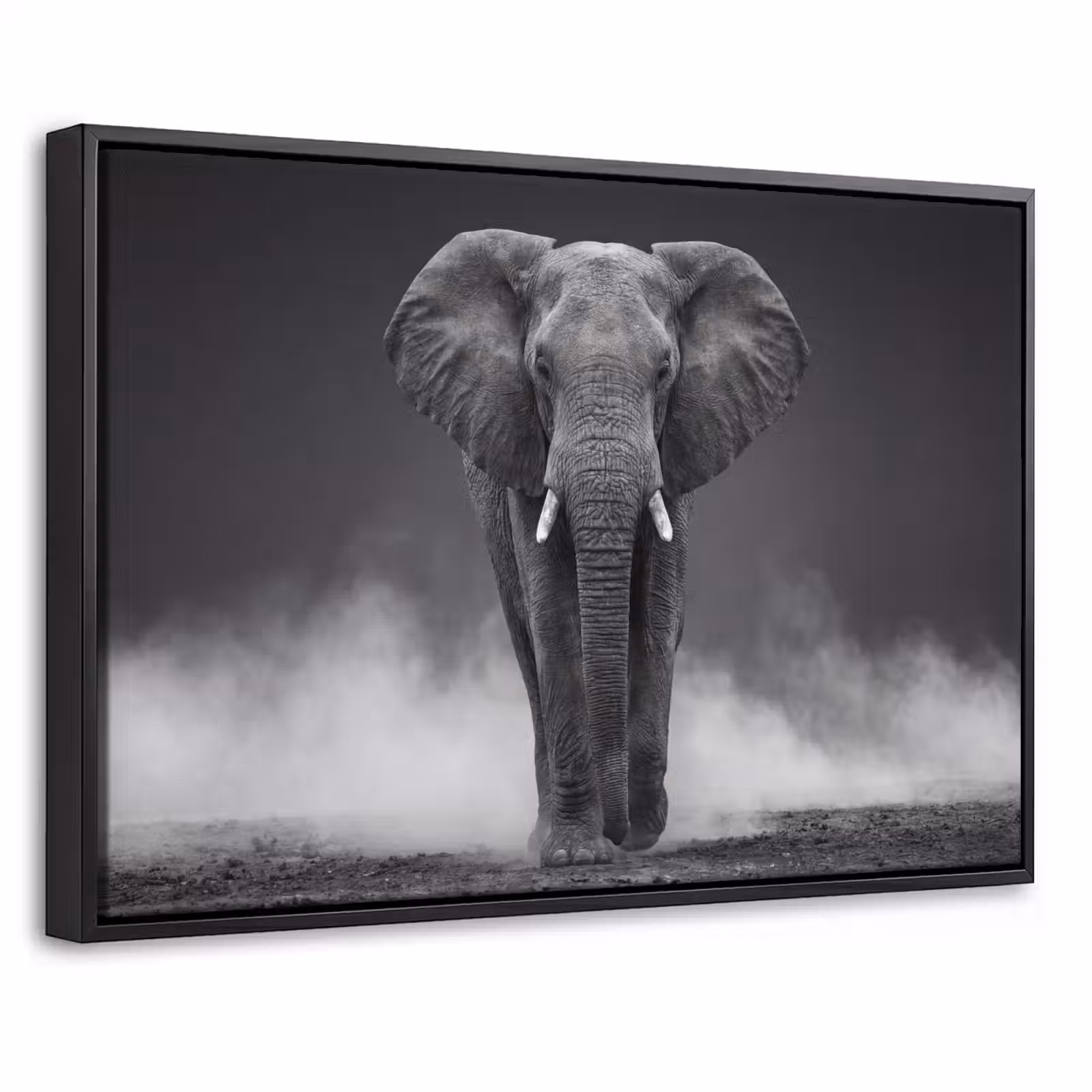 Canvas met lijst - Olifant - Zwart - Wit - Rook — 1