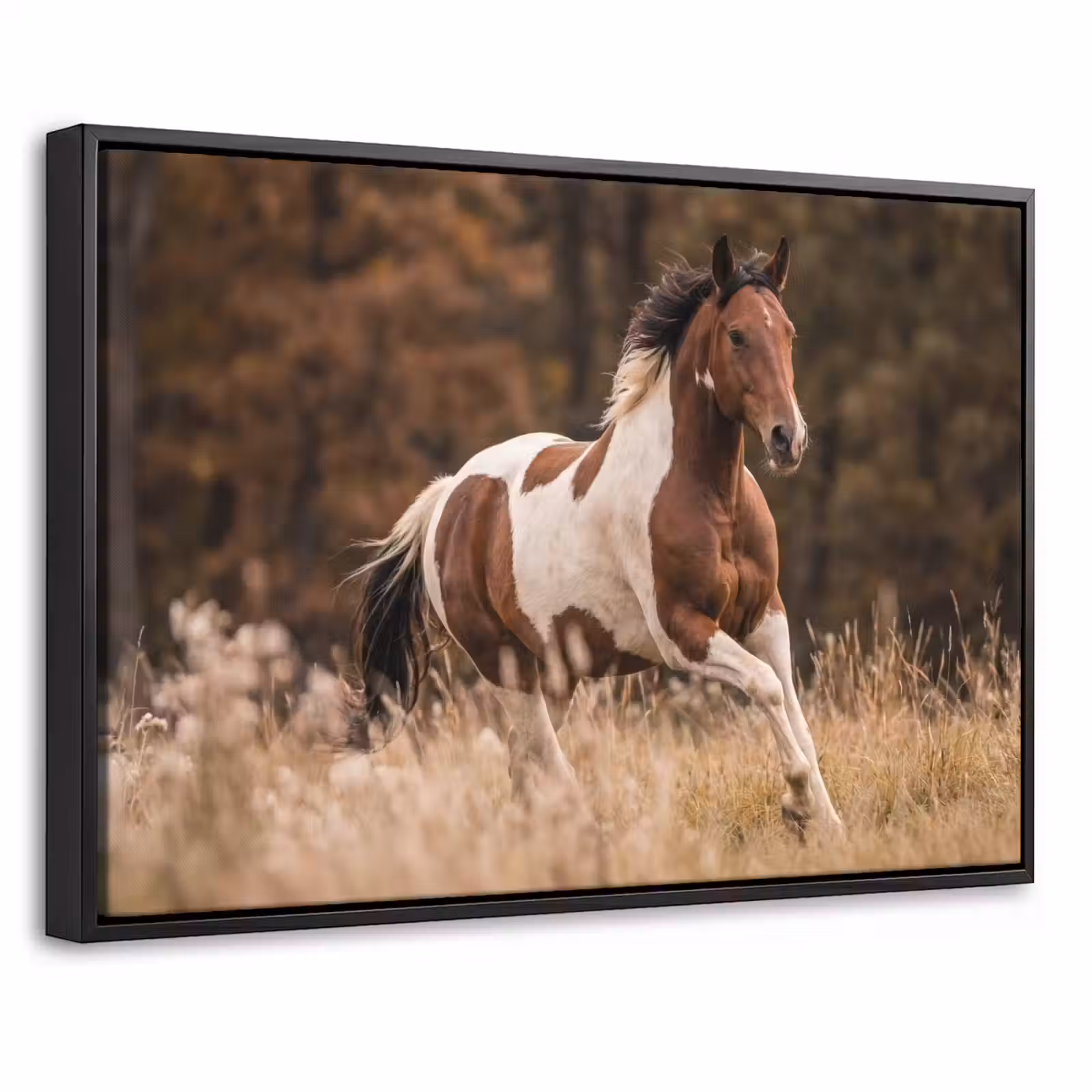 Canvas met lijst - Paard - Bruin - Gras — 1