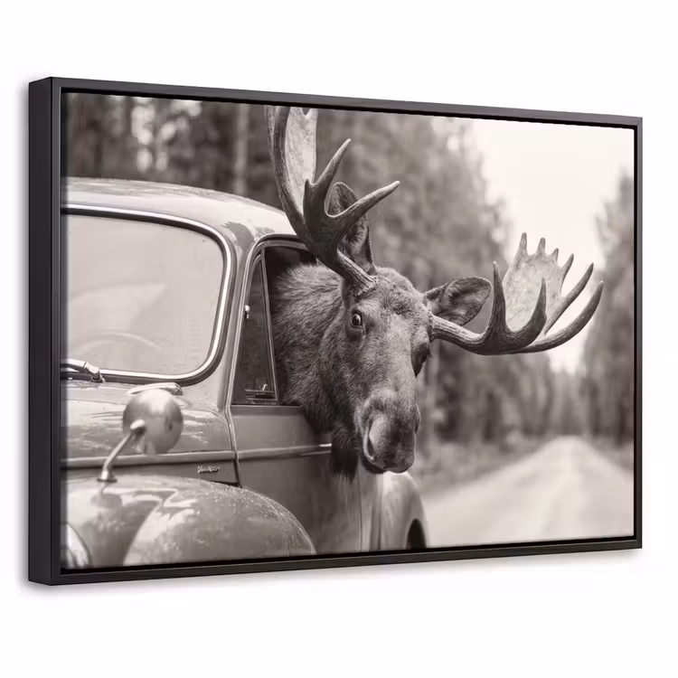 Canvas met lijst - Eland - Auto - Gewei - Zwart - Wit — 1