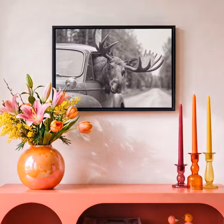 Canvas met lijst - Eland - Auto - Gewei - Zwart - Wit — 4