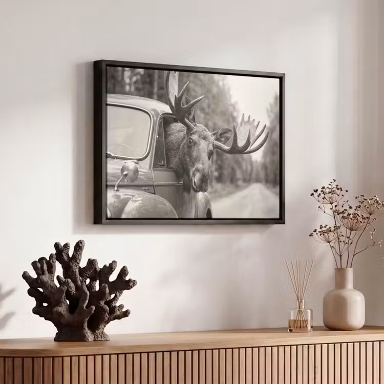 Canvas met lijst - Eland - Auto - Gewei - Zwart - Wit — 6