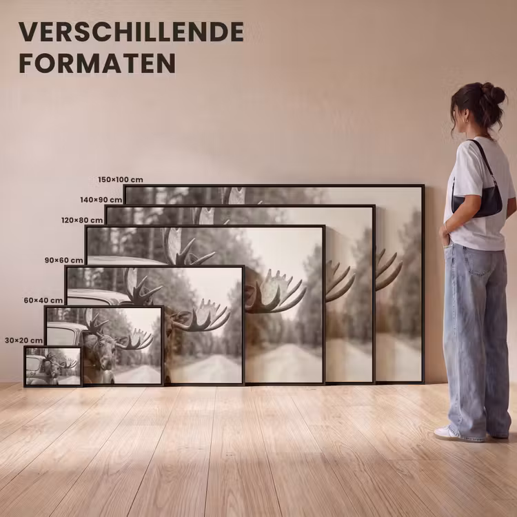 Canvas met lijst - Eland - Auto - Gewei - Zwart - Wit — 7