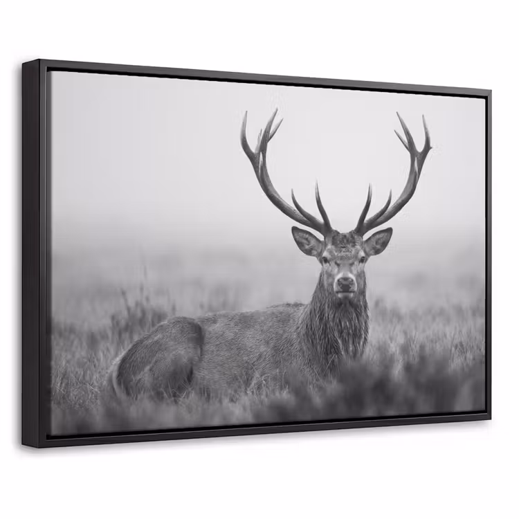 Canvas met lijst - Hert - Mistig - Zwart - Wit — 1