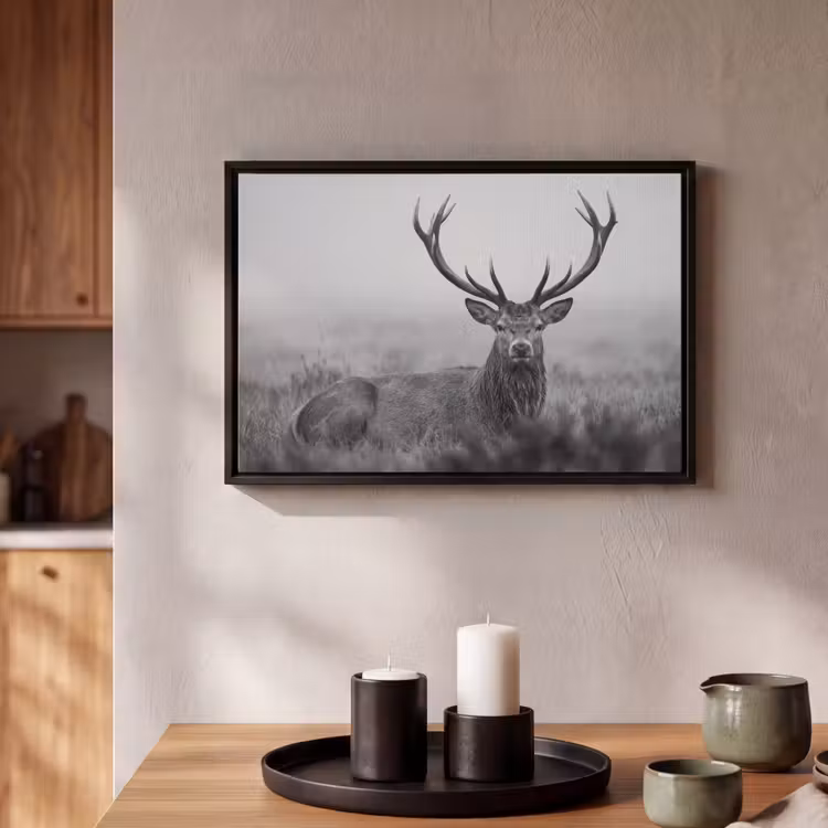 Canvas met lijst - Hert - Mistig - Zwart - Wit — 2