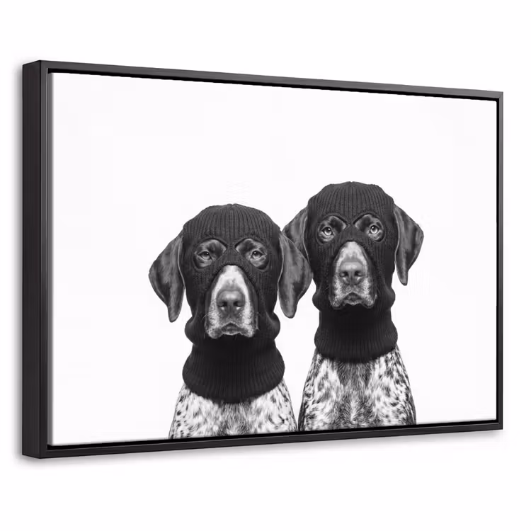 Canvas met lijst - Honden - Bivakmuts - Zwart - wit — 1