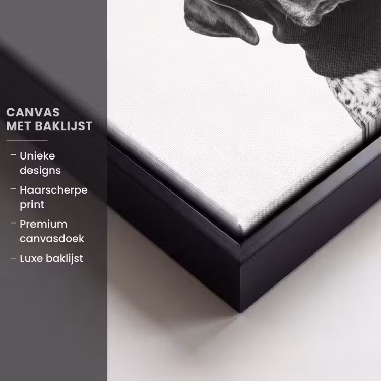 Canvas met lijst - Honden - Bivakmuts - Zwart - wit — 5