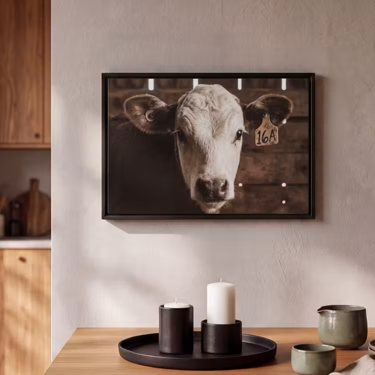 Canvas met lijst - Kalf - Oormerk - Houten stal — 2