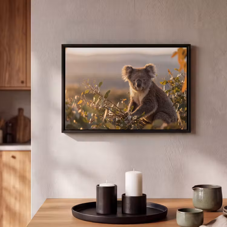 Canvas met lijst - Koala - Bladeren - Ochtendlicht — 2
