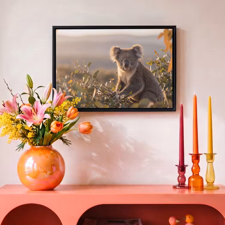 Canvas met lijst - Koala - Bladeren - Ochtendlicht — 4
