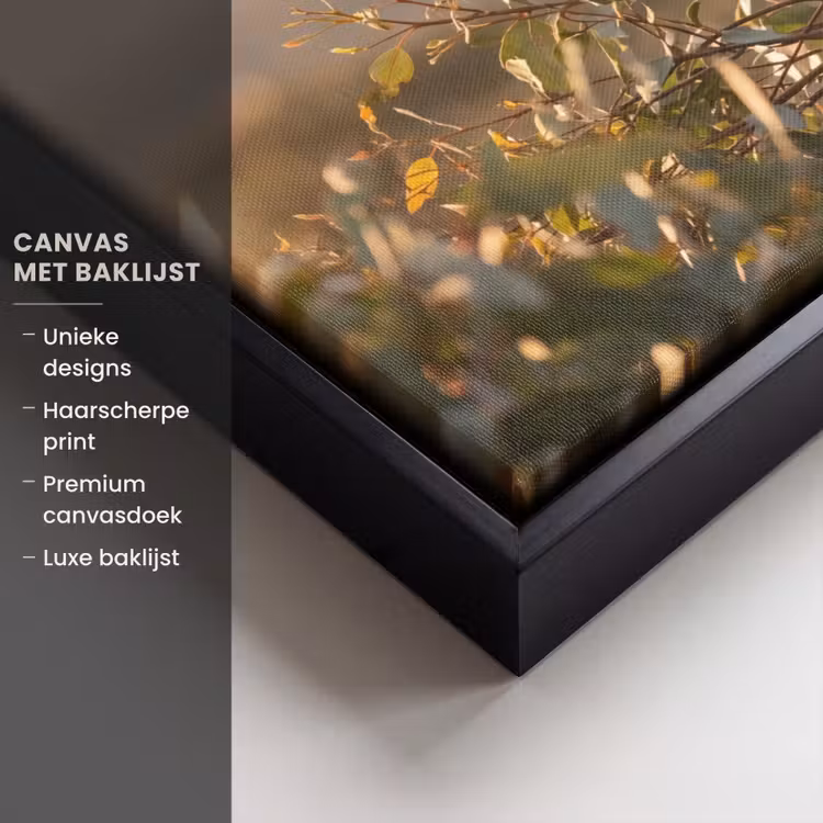 Canvas met lijst - Koala - Bladeren - Ochtendlicht — 5