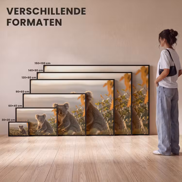 Canvas met lijst - Koala - Bladeren - Ochtendlicht — 7