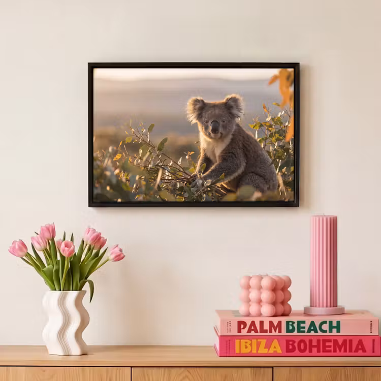 Canvas met lijst - Koala - Bladeren - Ochtendlicht — 8