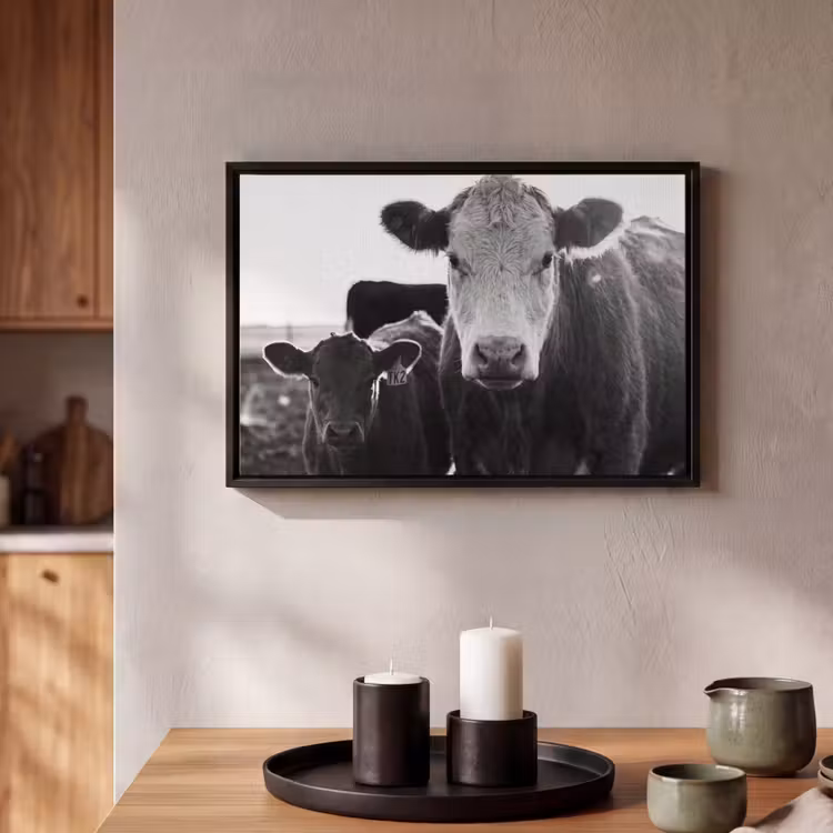 Canvas met lijst - Koeien - Zwart - Wit — 2