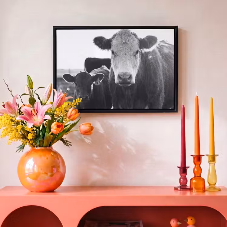 Canvas met lijst - Koeien - Zwart - Wit — 4