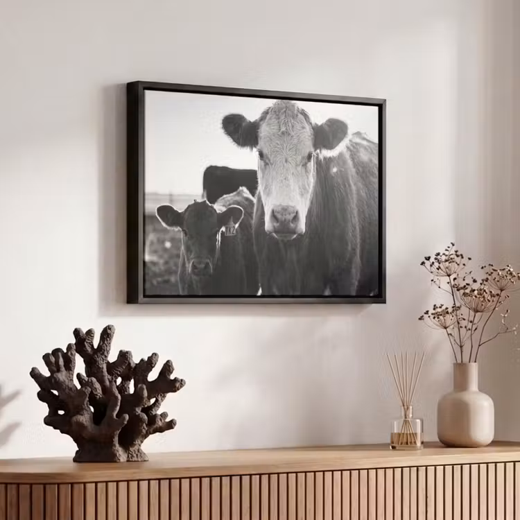 Canvas met lijst - Koeien - Zwart - Wit — 6