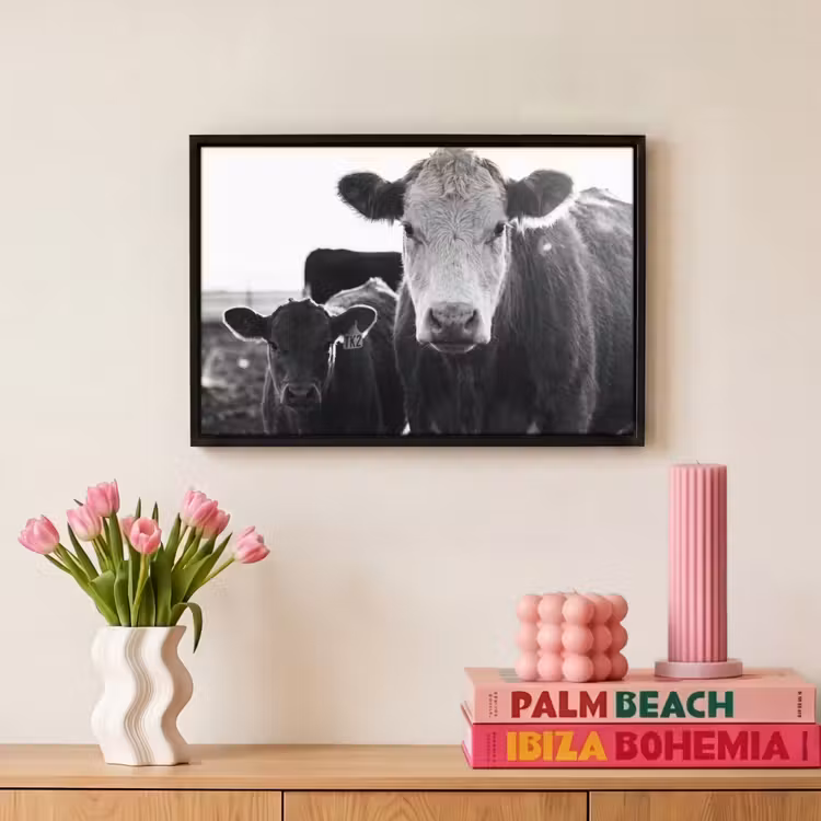 Canvas met lijst - Koeien - Zwart - Wit — 8