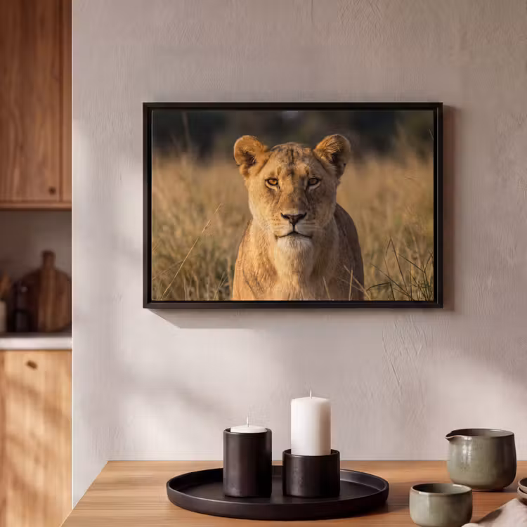 Canvas met lijst - Leeuwin - Gras - Geel — 2
