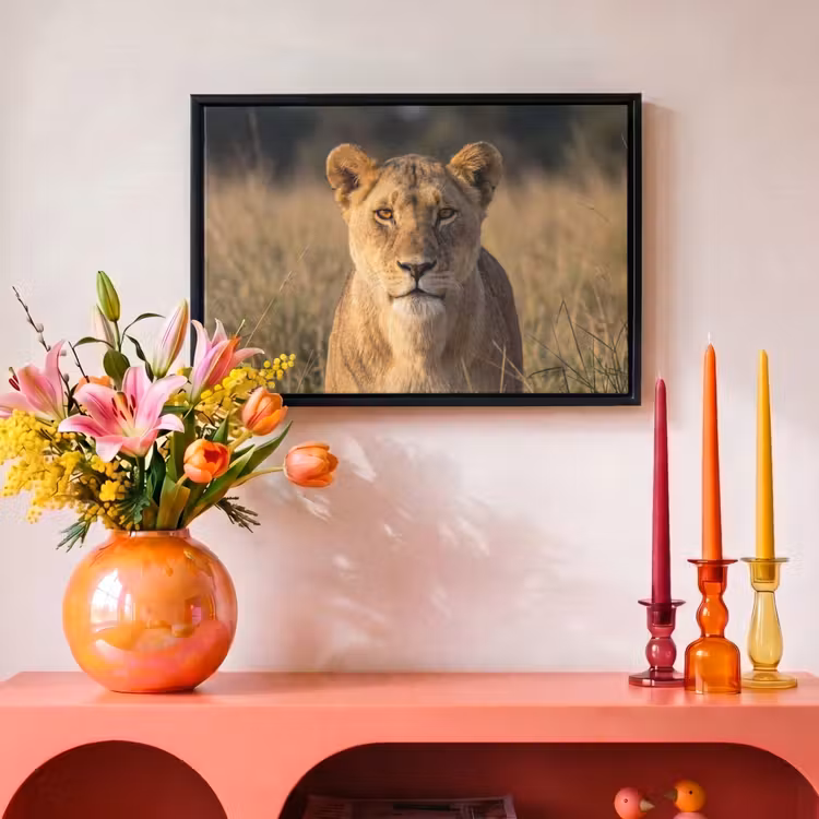 Canvas met lijst - Leeuwin - Gras - Geel — 4