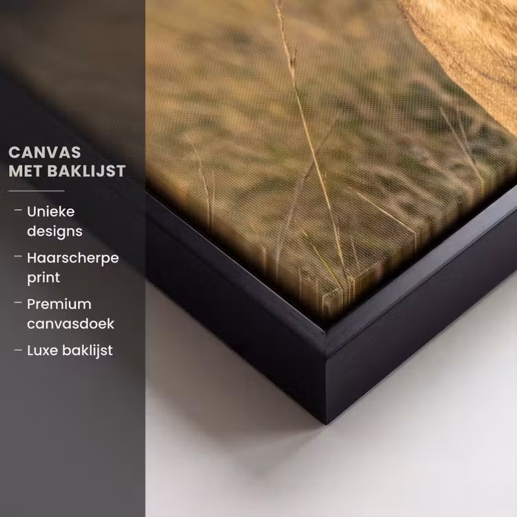 Canvas met lijst - Leeuwin - Gras - Geel — 5