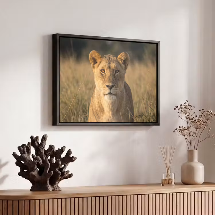Canvas met lijst - Leeuwin - Gras - Geel — 6