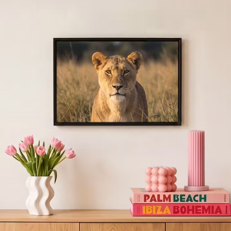 Canvas met lijst - Leeuwin - Gras - Geel — 8