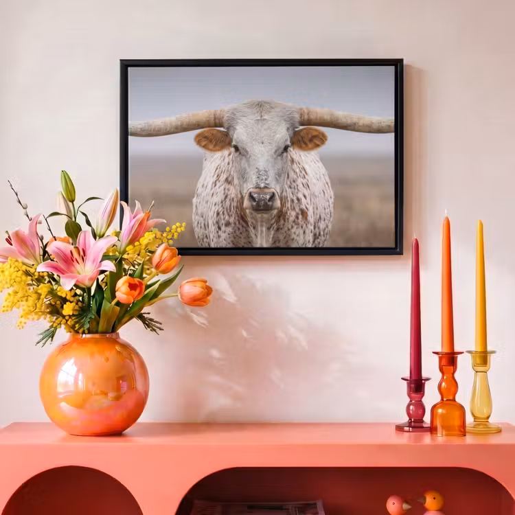 Canvas met lijst - Longhorn - Grasveld - Dier — 4