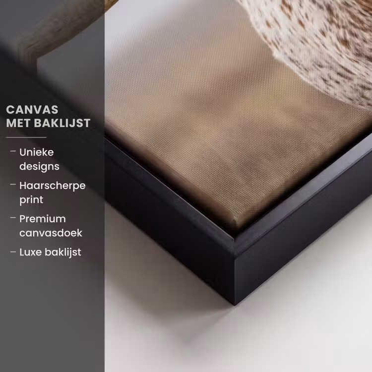 Canvas met lijst - Longhorn - Grasveld - Dier — 5