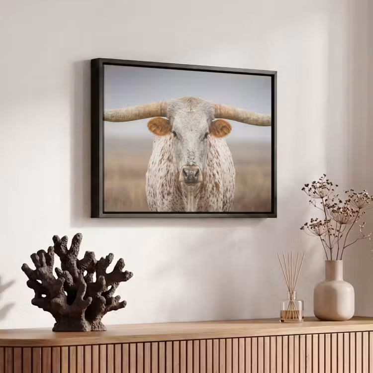 Canvas met lijst - Longhorn - Grasveld - Dier — 6
