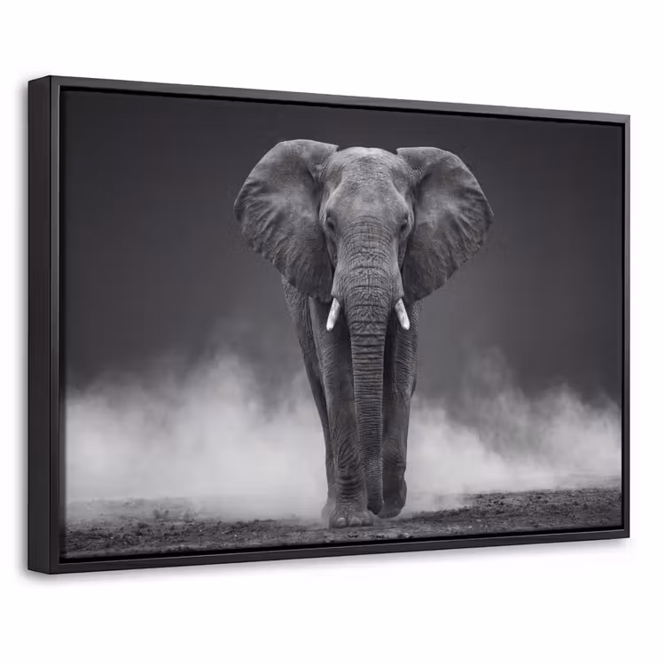 Canvas met lijst - Olifant - Zwart - Wit - Rook — 1
