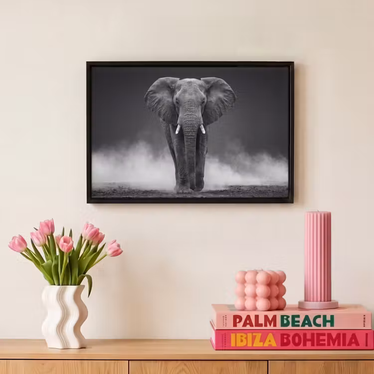 Canvas met lijst - Olifant - Zwart - Wit - Rook — 8