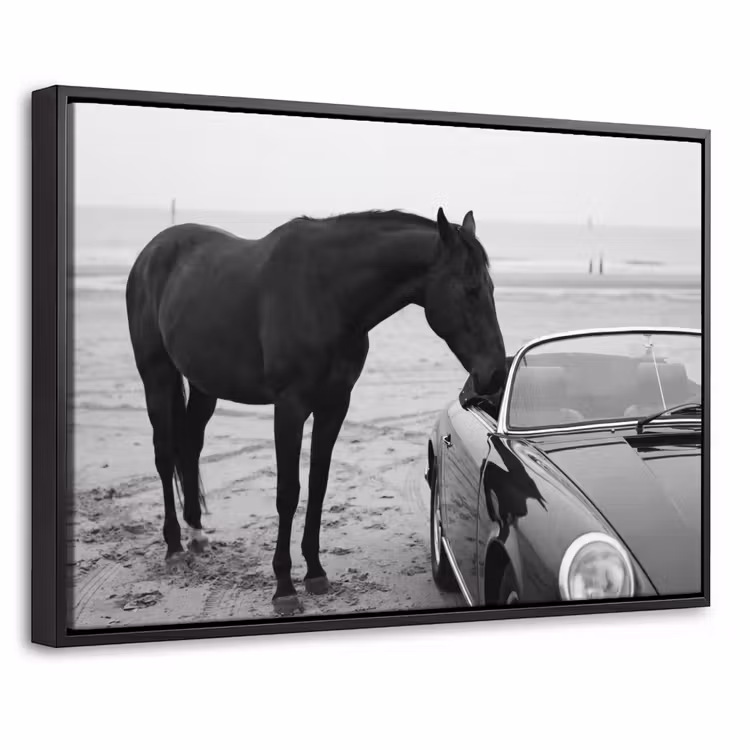 Canvas met lijst - Paard - Auto - Zwart - Wit — 1