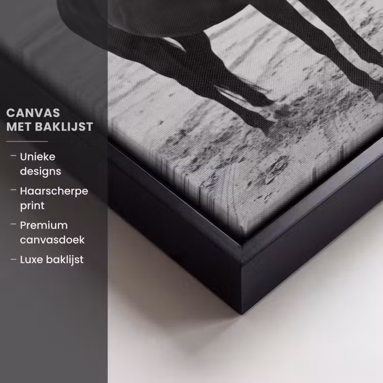 Canvas met lijst - Paard - Auto - Zwart - Wit — 5