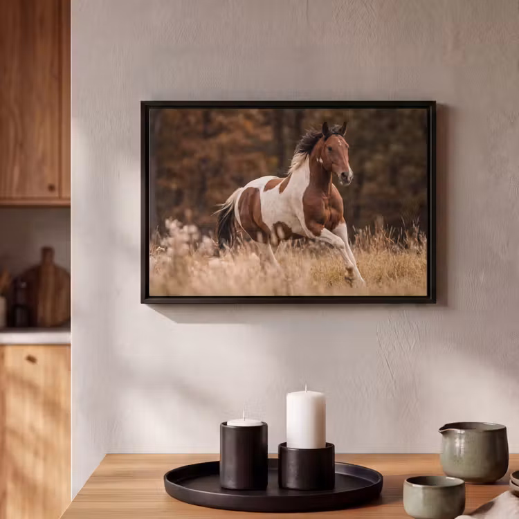 Canvas met lijst - Paard - Bruin - Gras — 2