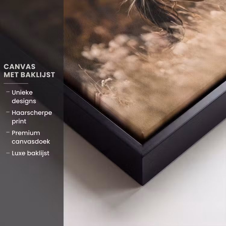 Canvas met lijst - Paard - Bruin - Gras — 5