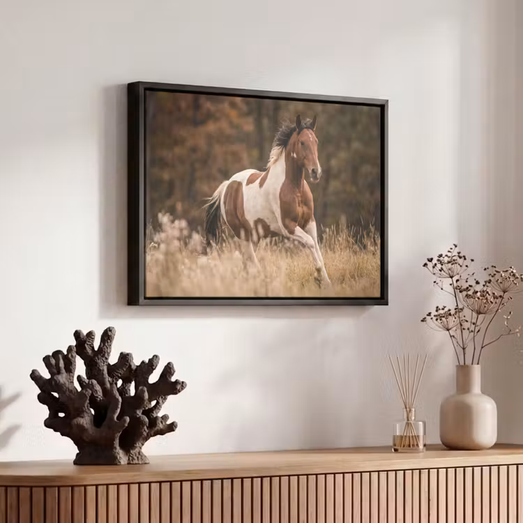 Canvas met lijst - Paard - Bruin - Gras — 6