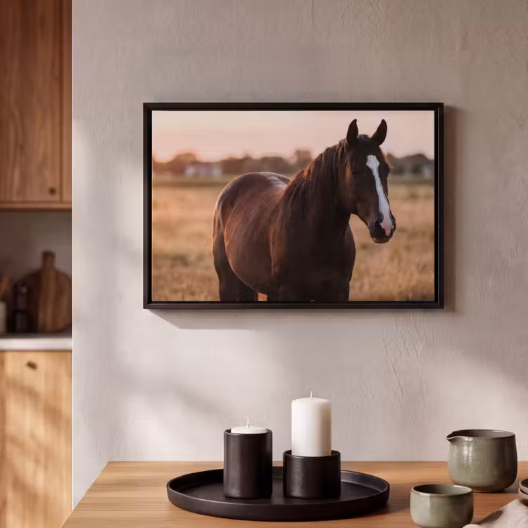 Canvas met lijst - Paard - Zonsondergang - Bruin — 2