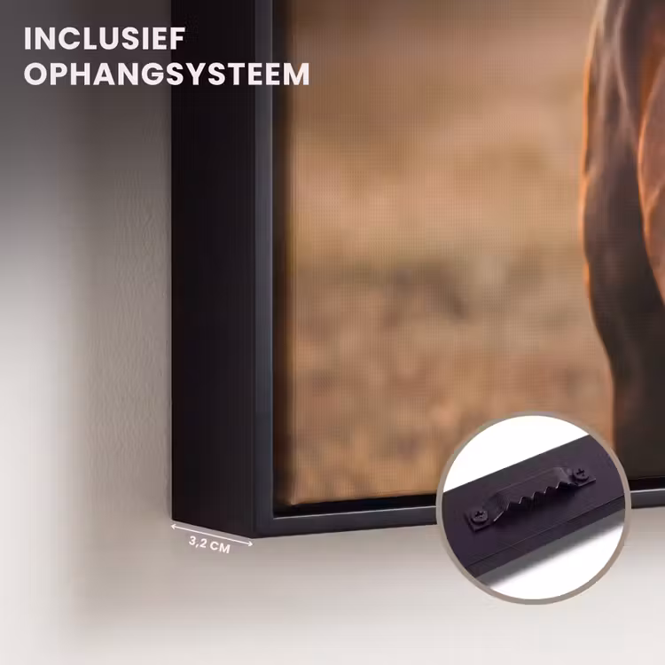 Canvas met lijst - Paard - Zonsondergang - Bruin — 3