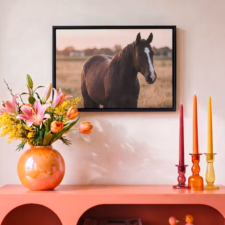 Canvas met lijst - Paard - Zonsondergang - Bruin — 4