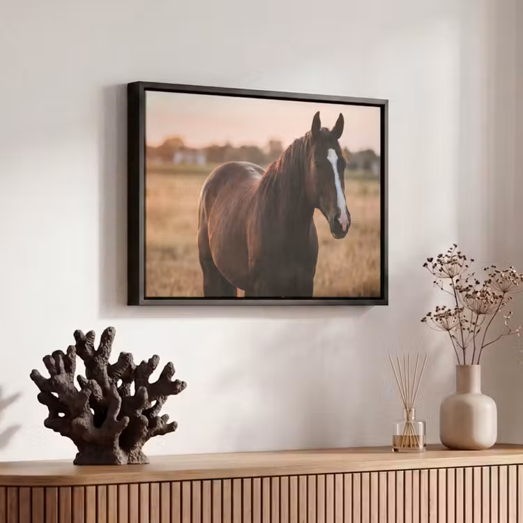 Canvas met lijst - Paard - Zonsondergang - Bruin — 6
