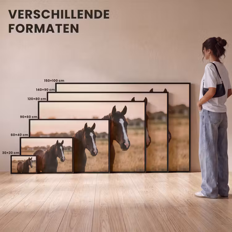 Canvas met lijst - Paard - Zonsondergang - Bruin — 7